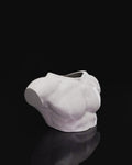 male body planter